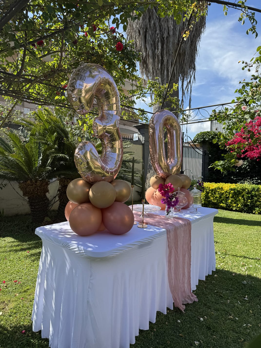 Lola allestimenti 19